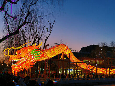 北京什刹海荷花市场巨型龙灯