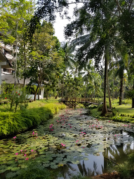 泰国酒店花园