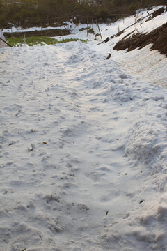 山坡积雪