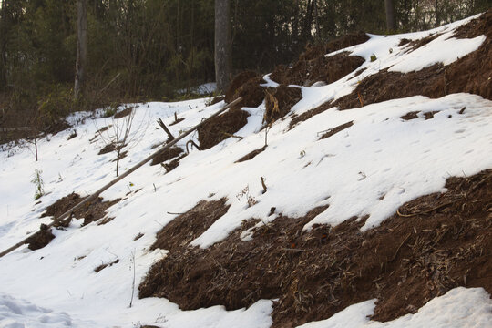 山坡积雪