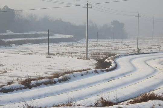 农田积雪