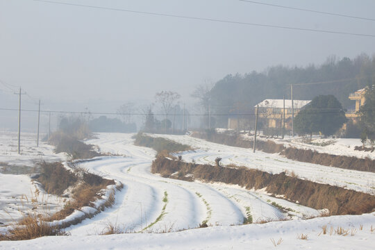 乡村农田雪景