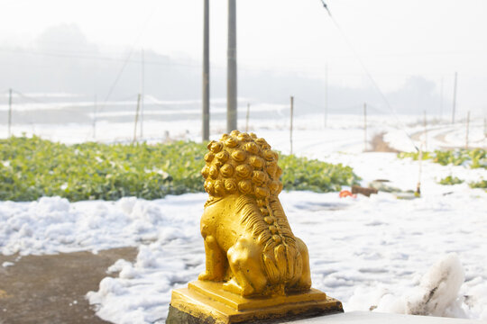 乡村雪天风景