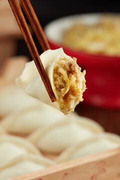 夹起来鲜肉酸菜饺子