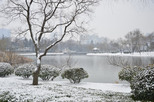 黄河公园雪景