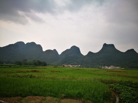 田园山野