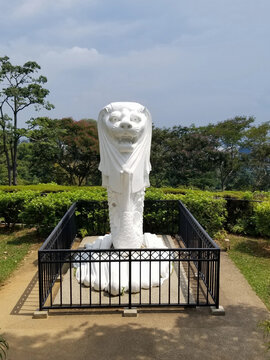 新加坡花柏山公园鱼尾狮