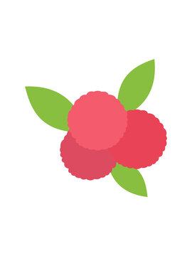 楊梅