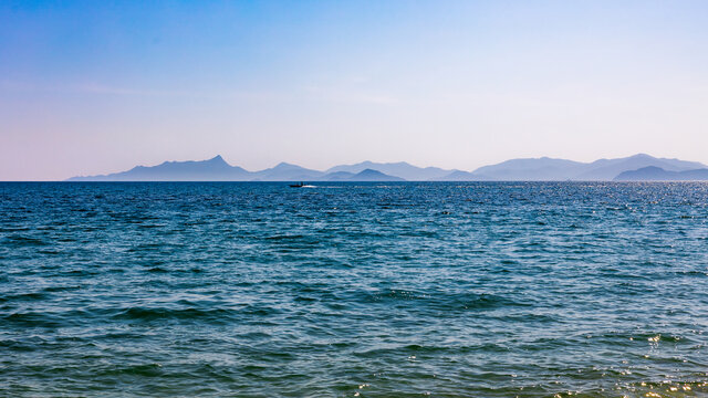 深圳玫瑰海岸