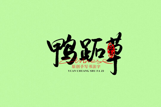 鴨跖草