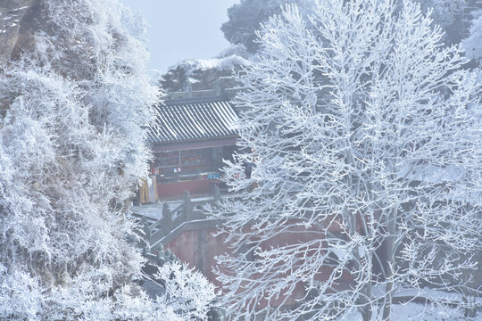 湖北十堰武当山