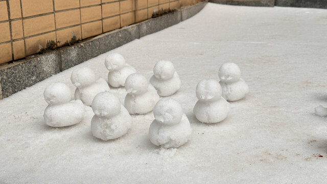 雪地