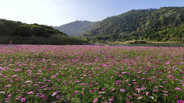 广州南沙黄山鲁森林公园