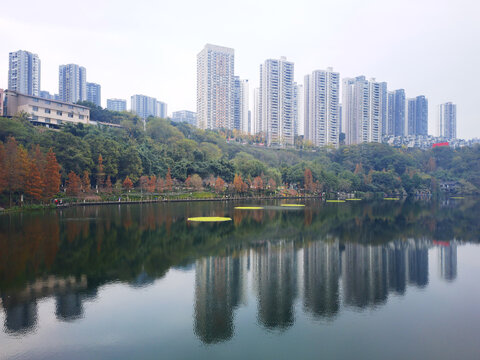 城市湿地公园湖泊摄影美景