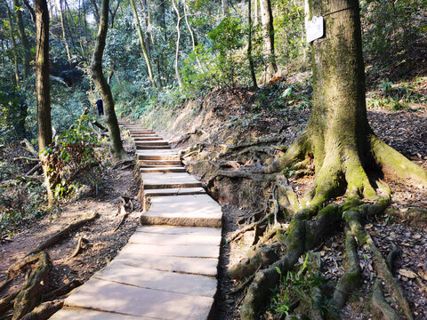 登山步道