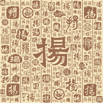 揚(yáng)字書(shū)法文字背景底紋