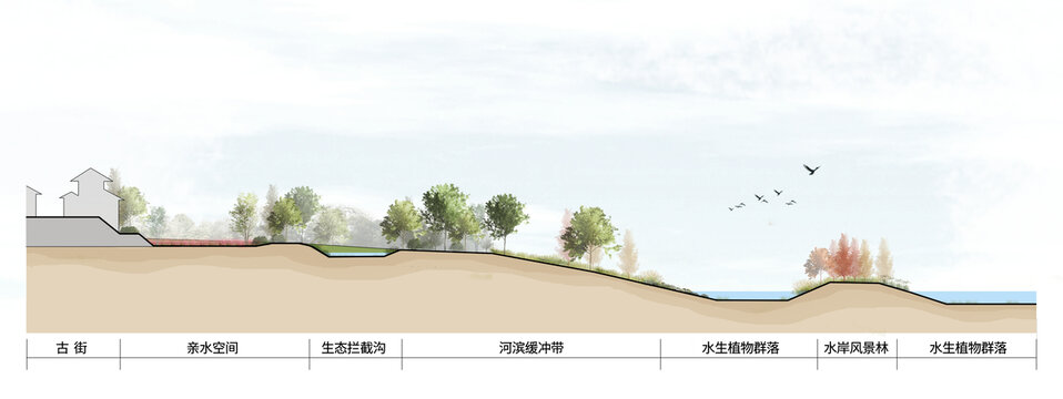 河道滨水缓冲带断面图