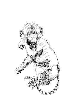 生肖猴