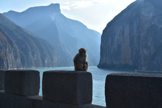 三峡之巅白帝城夔门瞿塘峡巫峡