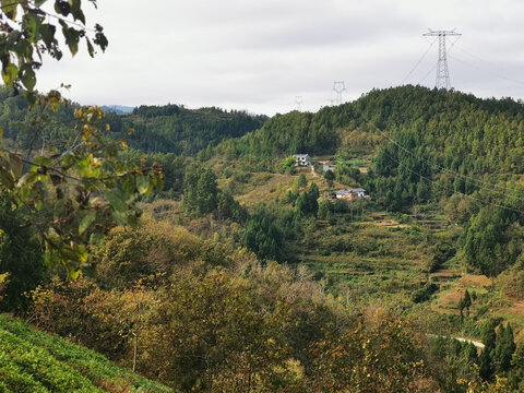 秦岭山脉