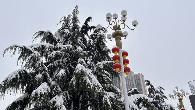 雪景灯笼