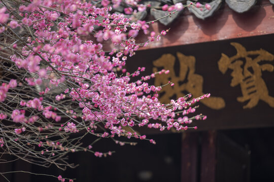 湖州铁佛寺