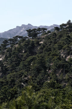 锦州医巫闾山冬季风景