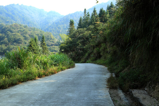 高山水泥路