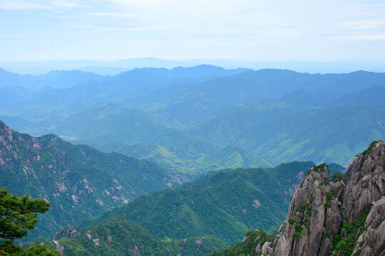 青山