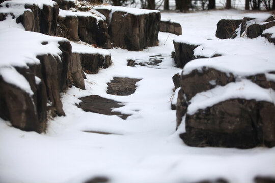 雪中岩石