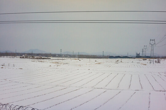 雪后原野