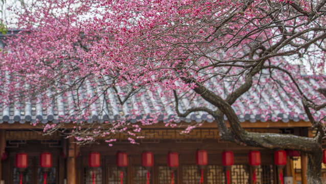 湖州铁佛寺