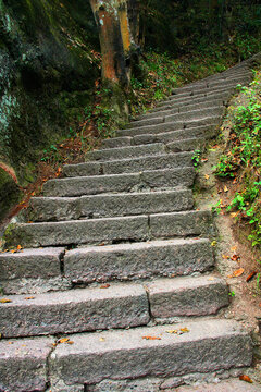 武夷山登山石台阶