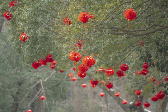 春节挂灯笼