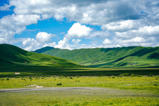 阿坝羌族藏族自治州红原大草原