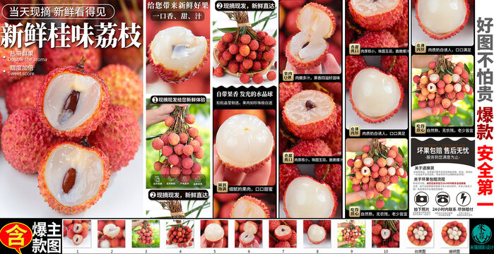 桂味荔枝詳情頁