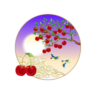 櫻桃包裝插畫
