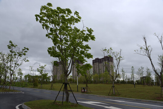 刮风下雨