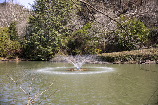 池塘喷泉