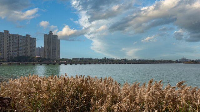 泉州都市风景