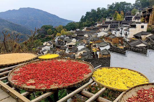 篁岭晒秋