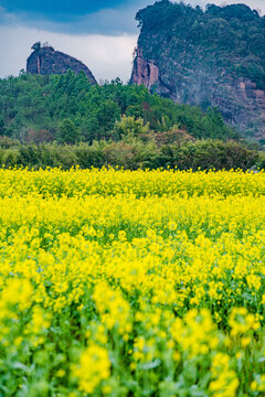 赣州于都上欧村油菜花黄映丹霞