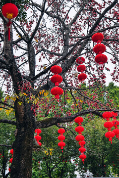 东莞石龙欧仙院寺