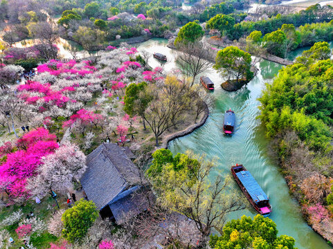 西溪湿地梅花航拍