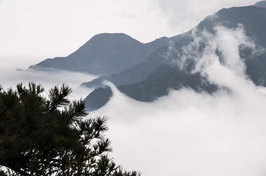 庐山含鄱口云海