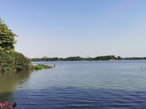 湖水湖面