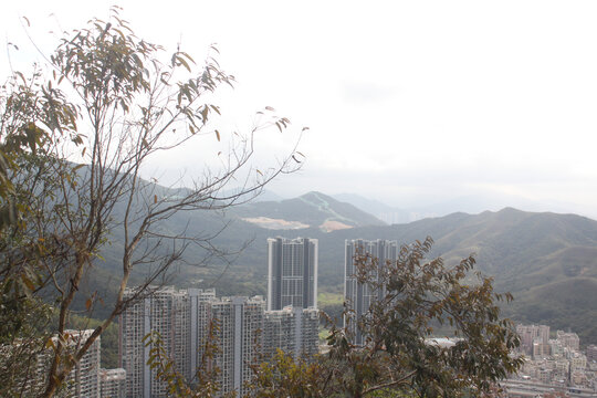 深圳梧桐山风景