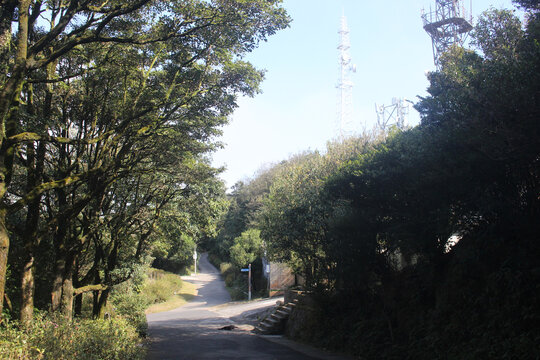 深圳梧桐山风景