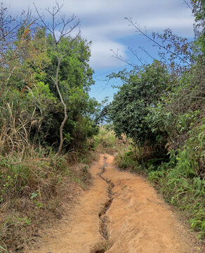 林间小路