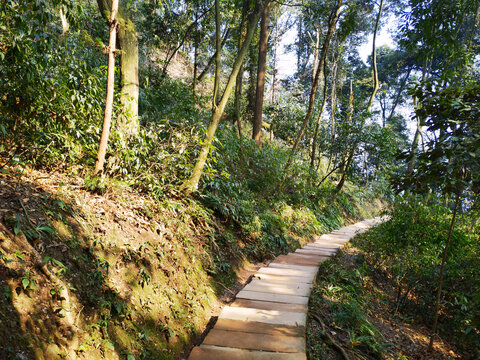 青城山登山步道